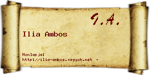 Ilia Ambos névjegykártya